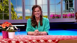 BrabantQuiz