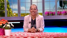 BrabantQuiz