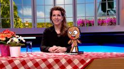 BrabantQuiz