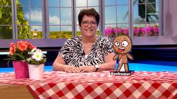BrabantQuiz