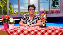 BrabantQuiz