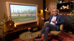 Brabant Vandaag