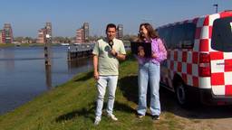 Brabants Buske