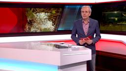 Brabant Nieuws