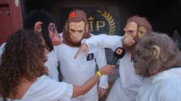 Zinderend Zuiden