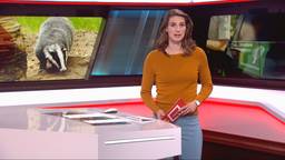 Brabant Nieuws