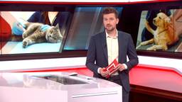 Brabant Nieuws