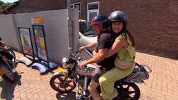 Brabants Buske
