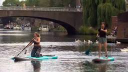 Brabants Buske