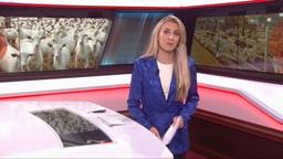 Brabant Nieuws