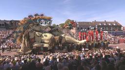 Corso Zundert LIVE