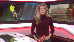 Brabant Nieuws