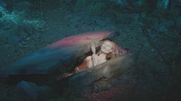 Spookslot, de Historie van Station Halfweg