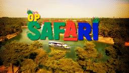 We volgen de aanloop naar de geboorte van de drie olifantenkalfjes in het safaripark  in deze eerste aflevering van het tweede seizoen.