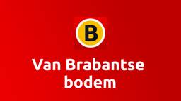 Wij Brabanders weten het al lang: Brabant is de beste. Dat geldt ook voor de muziek. Er wordt namelijk heel veel moois gemaakt in onze provincie en dat staat dit uur centraal. Hubert Mol gaat kriskras door al die mooie muziek uit onze provincie. Van Guus tot Gerard en van Krezip tot Anneke van Giersbergen. Als het maar Van Brabantse Bodem is...