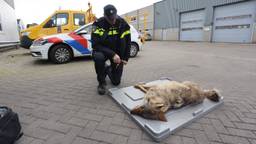 Ga naar slide 1