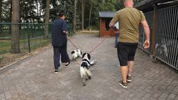 Ga naar slide 5