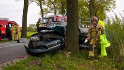 Een auto met aanhanger is op de Doctor de Quayweg in De Mortel tegen een boom gereden.