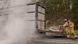 Veewagen met varkens vliegt in brand