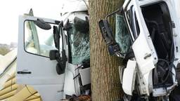 Vrachtwagen botst frontaal op boom