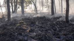 Natuurbrand in Asten