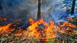 Natuurbrand in Waalre