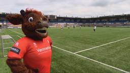 Boy Buffel heeft een nieuw pak nodig