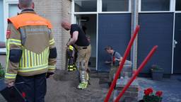 Kat zit vast onder huis en bezorgt brandweer urenlang graafwerk