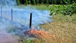 Jongeren steken berm in brand