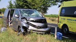 Automobilist schrikt zich lam van spin en ramt boom