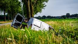 Bestelbus ramt verkeersbord en eindigt in de sloot