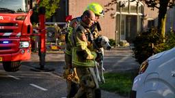 Hond uit huis gered bij grote brand, met spoed naar dierenarts gebracht