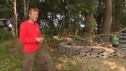 Ton heeft 80 eikenprocessierups-nesten: 'Dit lost plaag op'