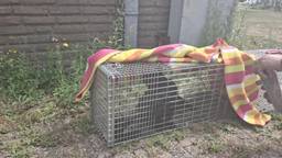 Ga naar slide 2