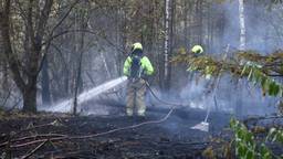 Grote brand in bos in Oploo