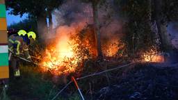 Spijt na brand, jonge brandstichter meldt zich bij brandweer