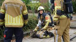 Huisdieren gered uit brandend huis