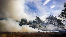 Rookgranaat veroorzaakt grote brand op de Oirschotse Heide