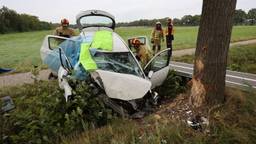 Vrouw botst op boom en belandt met auto in greppel