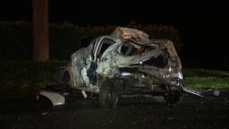 Auto crasht in Bergen op Zoom