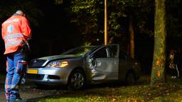 De automobilist crashte tegen een boom in Drunen