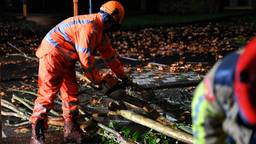 Een omgevallen boom blokkeerde vrijdagnacht een kruising in Berkel-Enschot.