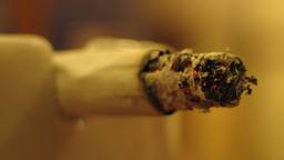 Niet meer roken in natuurgebied of bos in de gemeente Goirle. (Archieffoto)