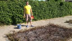 Ga naar slide 4
