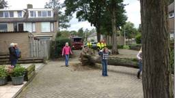 Ga naar slide 2