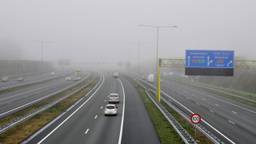 Foto: Ans van Ballegooy