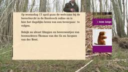 Ga naar slide 2