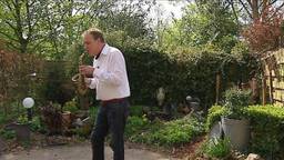 Ga naar slide 2
