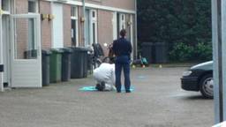 Ga naar slide 4