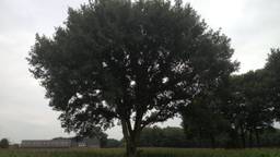 Ga naar slide 4